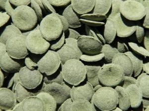 Alg wafels groen in tablet per 100 gram