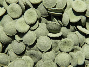 Alg wafels groen in tablet per 50 gram