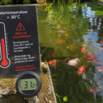 ⚠️ Report temporaire des livraisons en raison de la canicule