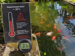 Lire la suite à propos de l’article ⚠️ Report temporaire des livraisons en raison de la canicule